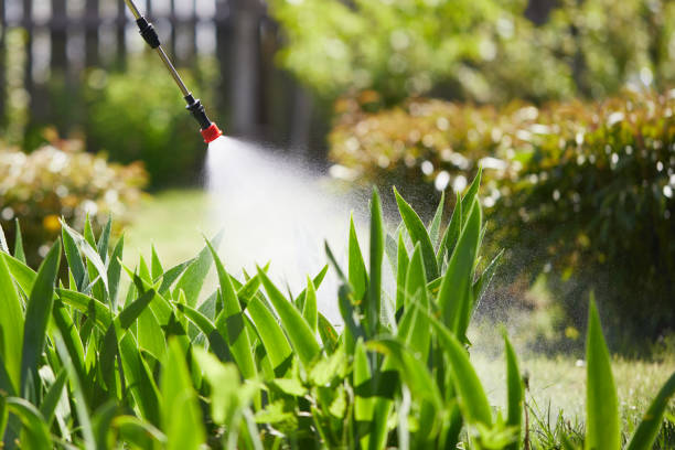 Tamper-Resistant Bait Stations for Rodents in Everman