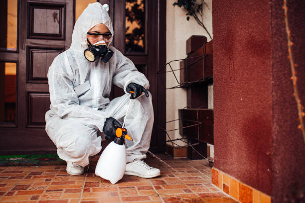 Attic and Crawl Space Rodent Treatment in Everman